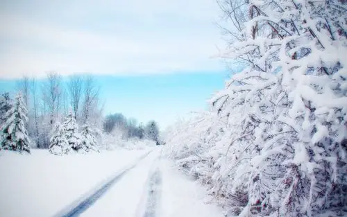 冬天唯美雪景电脑宽屏壁纸大全冬天雪景唯美风景树木