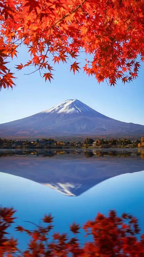 壁纸 风景 摄影 桌面 1440_2560 竖版 竖屏 手机