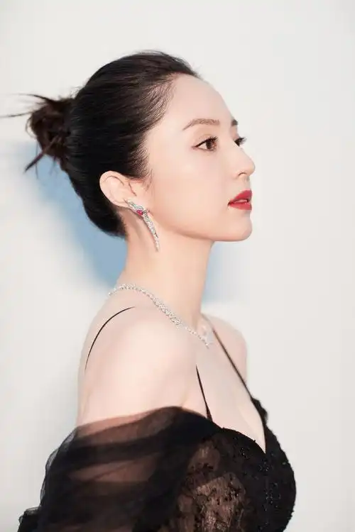 董璇性感吊带礼服写真图片312