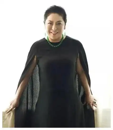 陈岚与向华强:逆境铸就传奇,坚韧绽放光芒,故事感人至深|向太|澎湃