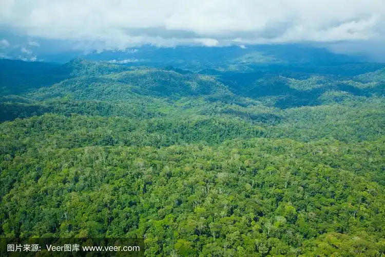 哥斯达黎加雨林鸟瞰图