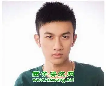 清爽时尚短发毛碎发型 要的就是个性