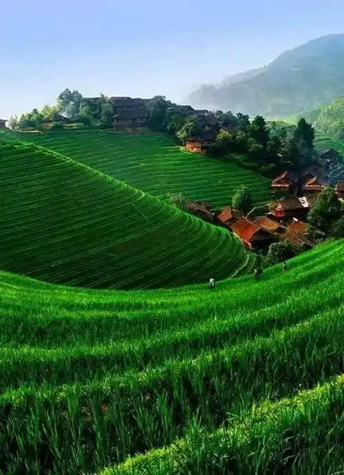 中国最美40个风景~太齐全太珍贵了!