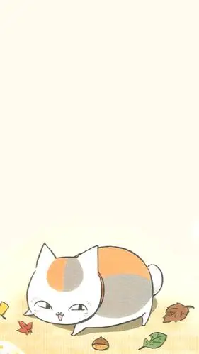 猫咪老师 娘口三三 大肥猫