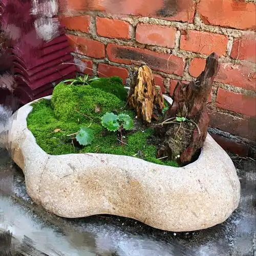 特大号鹅卵石花盆天然石头盆景多肉铜钱草养鱼碗莲石盆创意花器