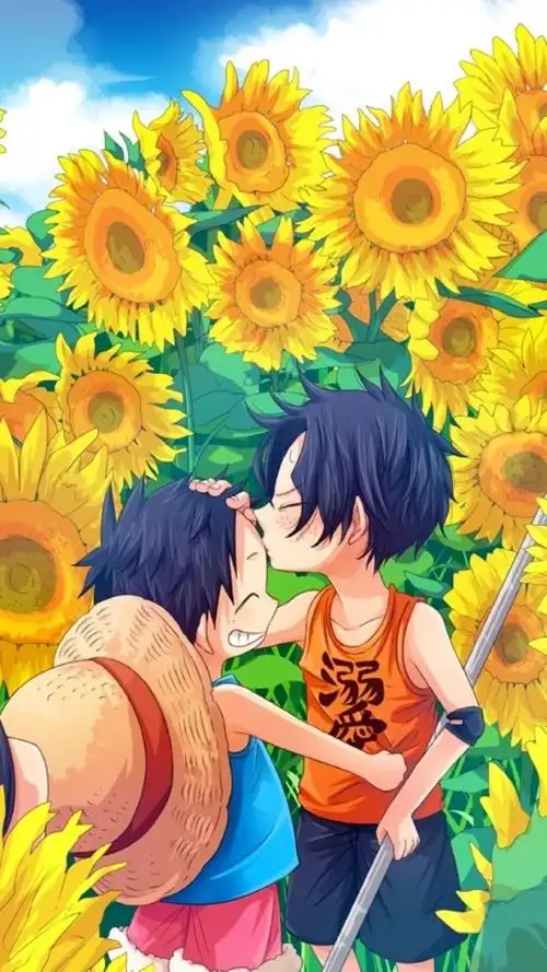 海贼王艾斯路飞