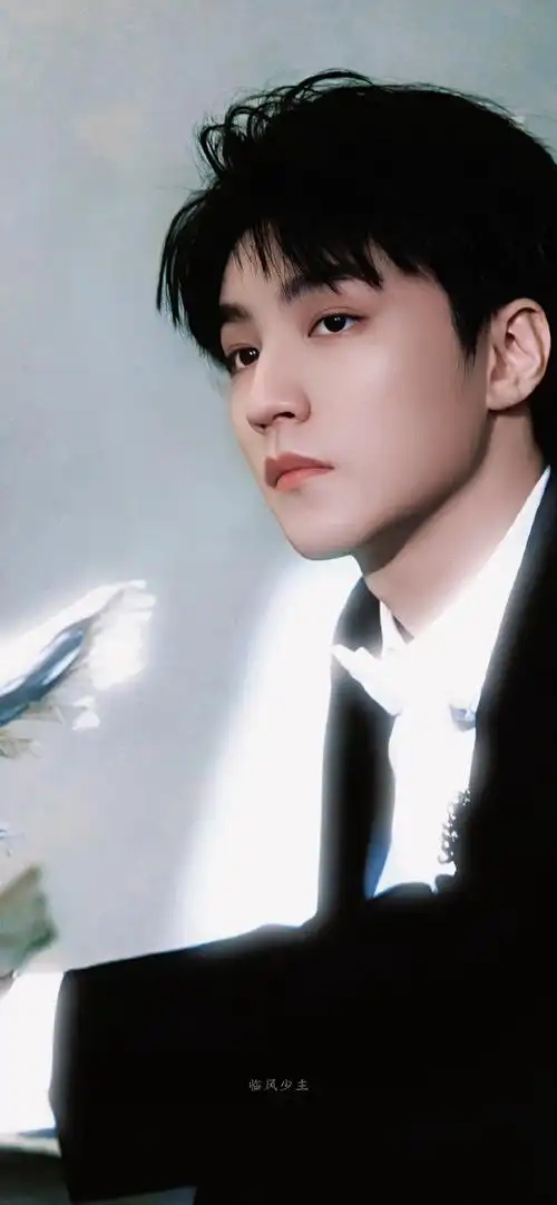 神性的浪漫9415    王俊凯壁纸#王俊凯和鸽子合照