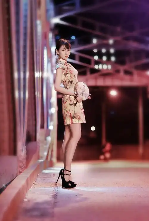 盘发气质美女旗袍灯光下迷人写真下载