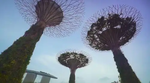 坐在supertree树下,就能观赏阿凡达般的树林灯光秀哦~▲鱼尾狮地址:浮