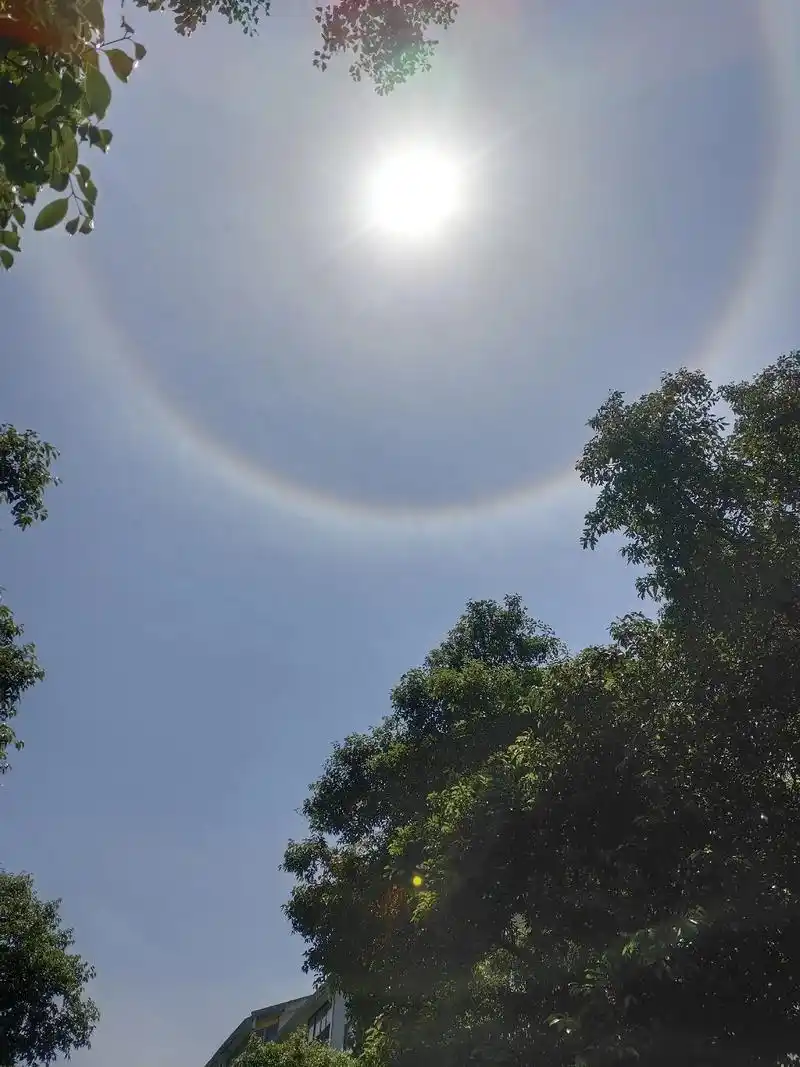 太阳彩虹光圈 #日晕奇观 #今天的天空特别美 #蓝天白云晴 - 抖音