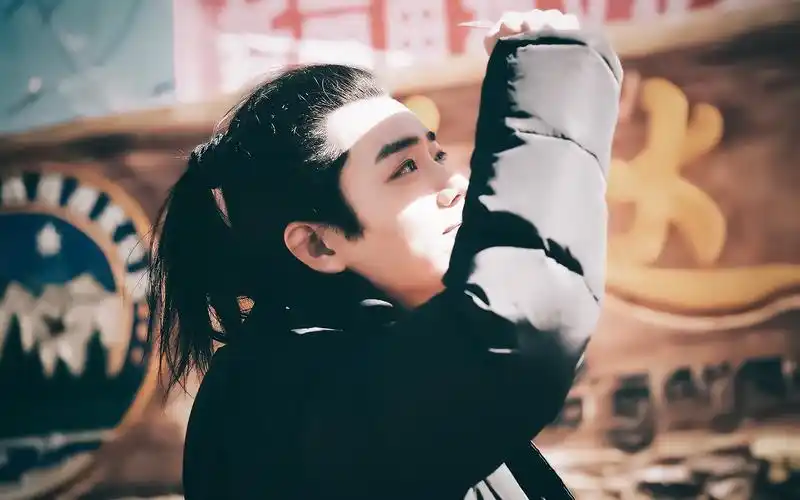 狼殿下片花合集肖战向