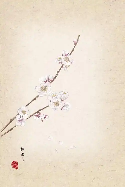 杏花:红杏枝头春意闹