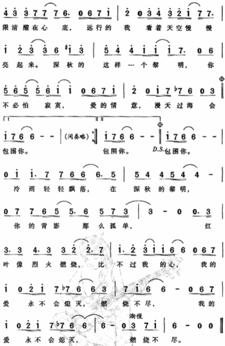 深秋的黎明 歌谱 简谱