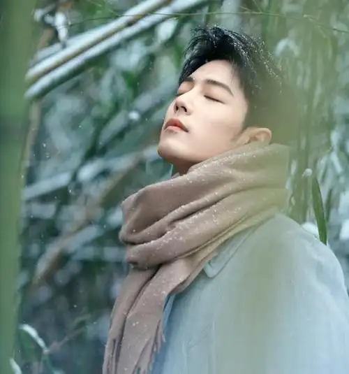 一组冬至竹林照让肖战再一次登上热搜,这样的肖战让无数人看到了岁月
