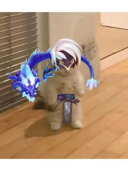 英雄联盟猫猫表情包(第五期) - 知乎