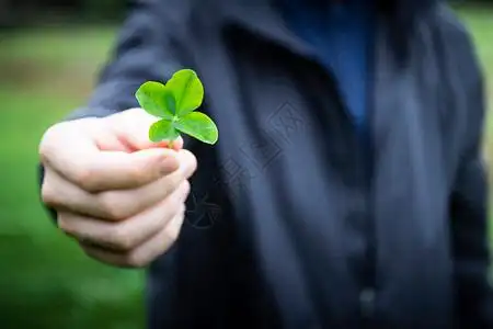 四叶草绿色背景图片