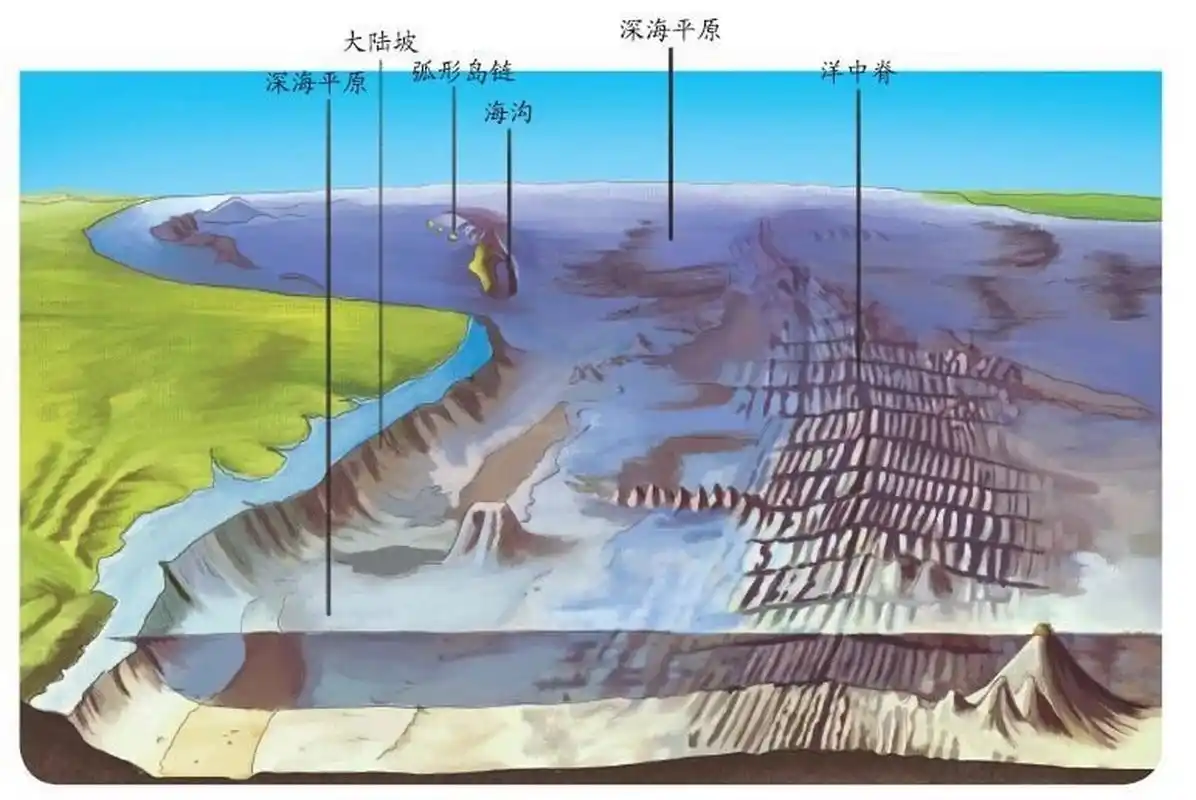 自然地理 之 海底地貌 海底地貌是海水覆盖下的固体地球表面形态的