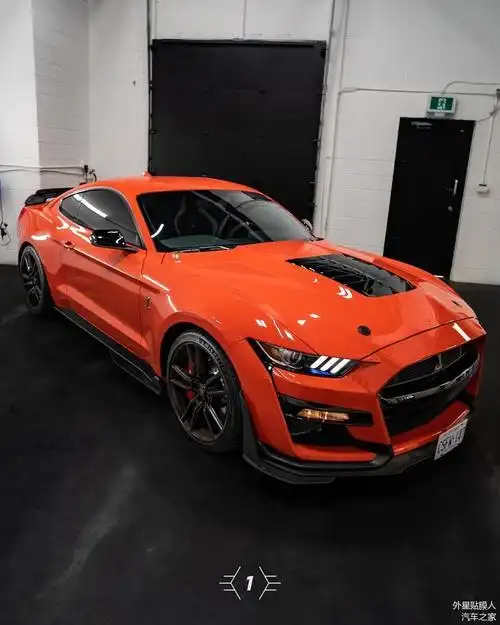xpel汽车窗膜与福特野马眼镜蛇mustangshelbygt500