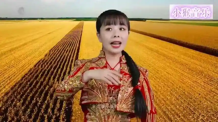 王二妮陕北情歌专辑很珍贵收藏好