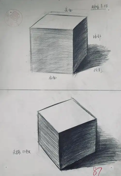 9月12日(周六下午)小学素描班学生作业赏析