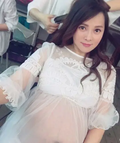 组图:伊能静挺孕肚出门 推车里放的却是狗狗