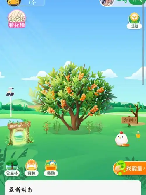 蚂蚁森林的小成就