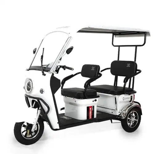 小巴士新款h200电动三轮车成人代步三人座家用带棚电瓶车接送孩子