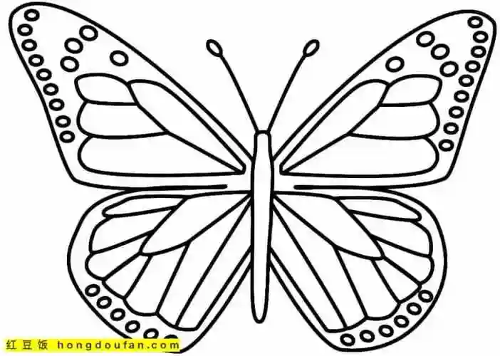 11张精致美丽的卡通蝴蝶儿童简笔画大全