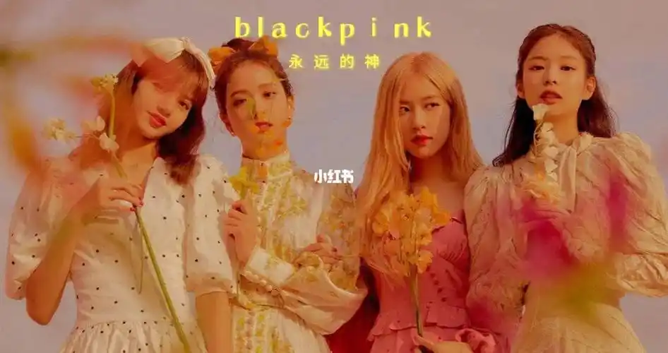 blackpink全员照片