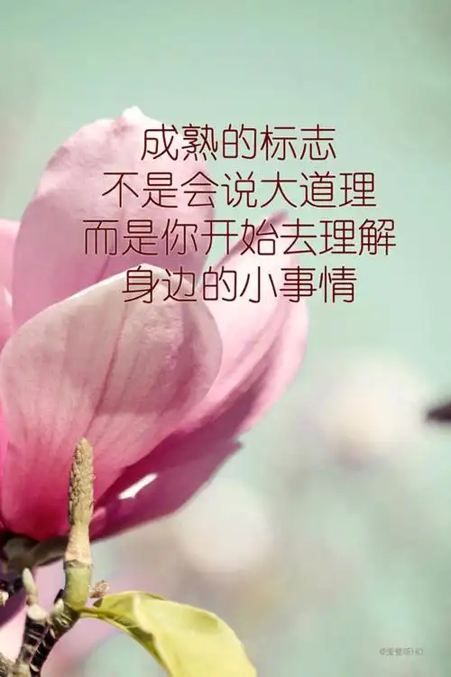 爱自己爱生活