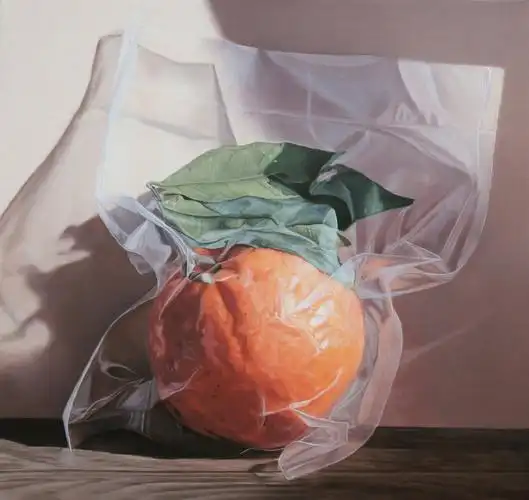 超写实主义画家 vesna bursich 绘画作品 | vesnabursich