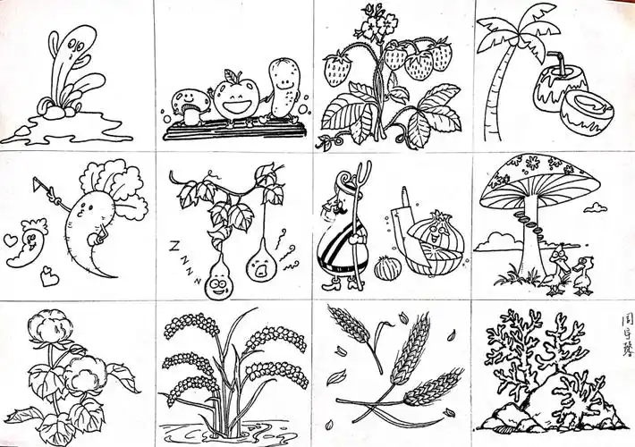 植物类简笔画