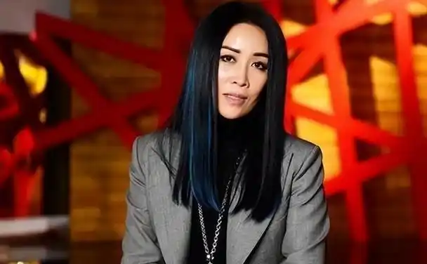 那英个人资料简介及 简历(分手后带儿子嫁给男闺蜜)