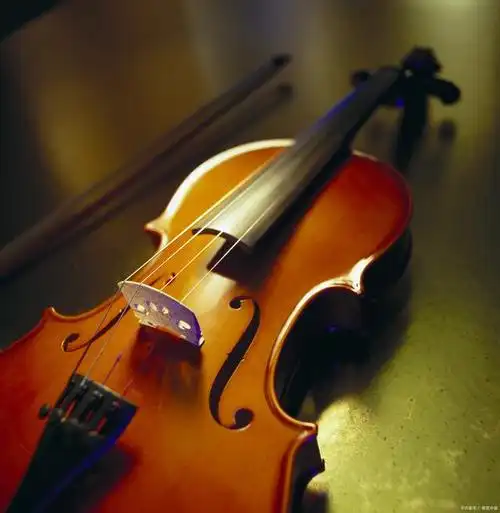 请问小提琴好学吗