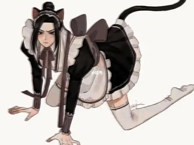 封面吸引大法舅舅