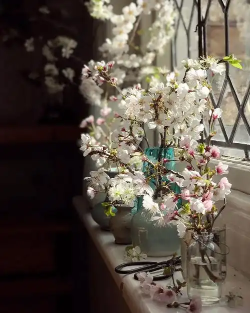 安静淡然的意境句子(安静淡然的意境句子 简短)