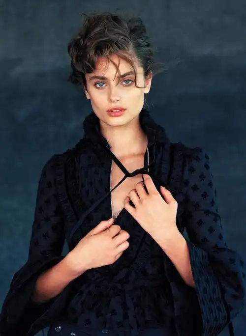 taylorhill