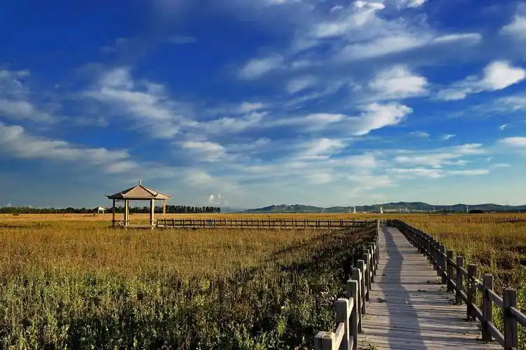 河北沽源--五花草甸景区