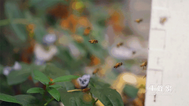 650_366gif 动态图 动图