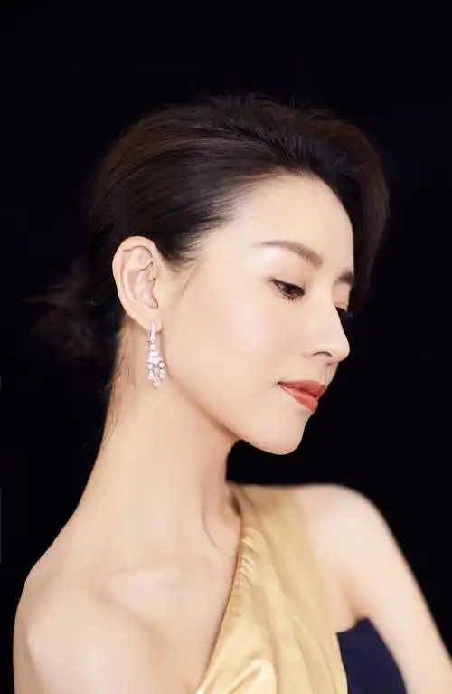 董洁华表奖端庄优雅写真图片