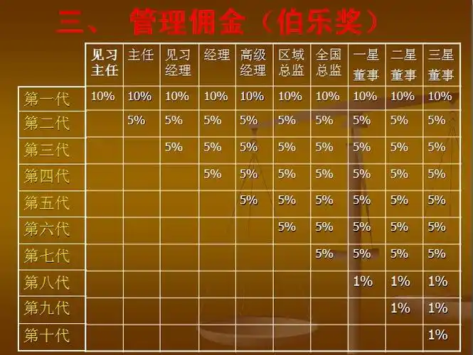 完美奖金制度的直销员