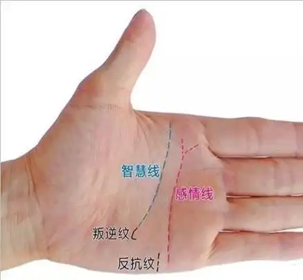 月丘,月丘上的纹路图解