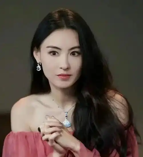 张柏芝的颜值,真的是绝美,而且她还很耐老,因为娱乐圈里有的女明星