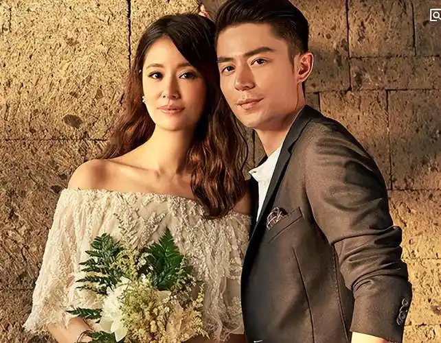 如有疑惑! 林心如龙凤胎最新消息 "精忠报国"-第2张图片-小智博客