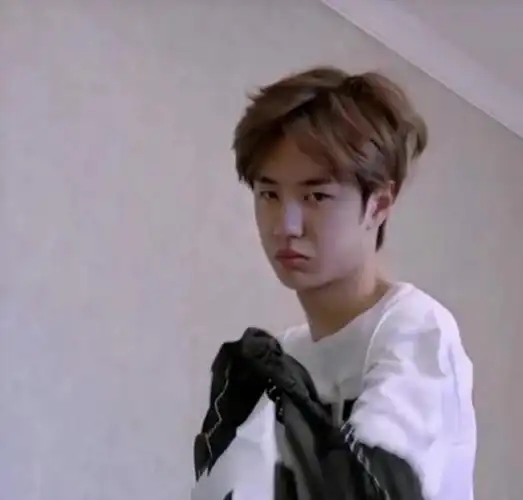 回顾撞脸动物的明星王一博还能忍看到易烊千玺简直是神似