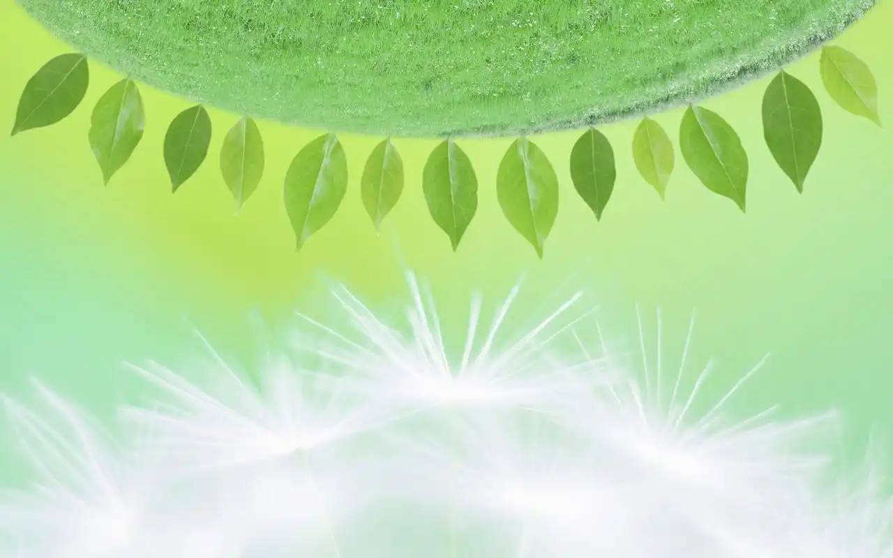 绿色清新护眼桌面桌面壁纸下载 第一辑