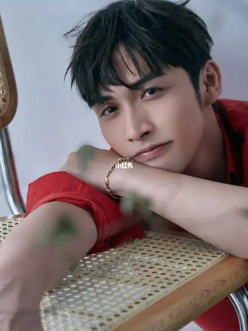 张彬彬红衬衫壁纸