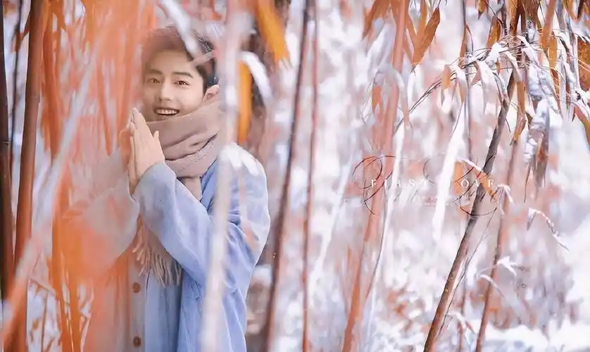 肖战竹林深处演绎时尚写真大片,少年自在如风,眼有星辰大海_围巾_最好