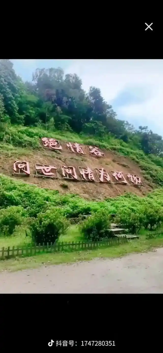 很多老铁问我绝情谷在什么地方,我现在告诉你们哈,广州的绝情谷 - 抖