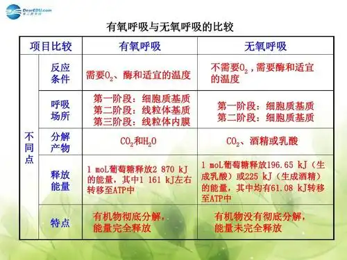 【全程复习方略】2015高考生物大一轮复习 知识点 有氧呼吸与无氧呼吸